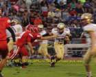 img_8741wtmk_small.jpg